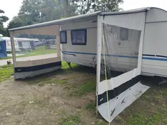 Miniatura 10